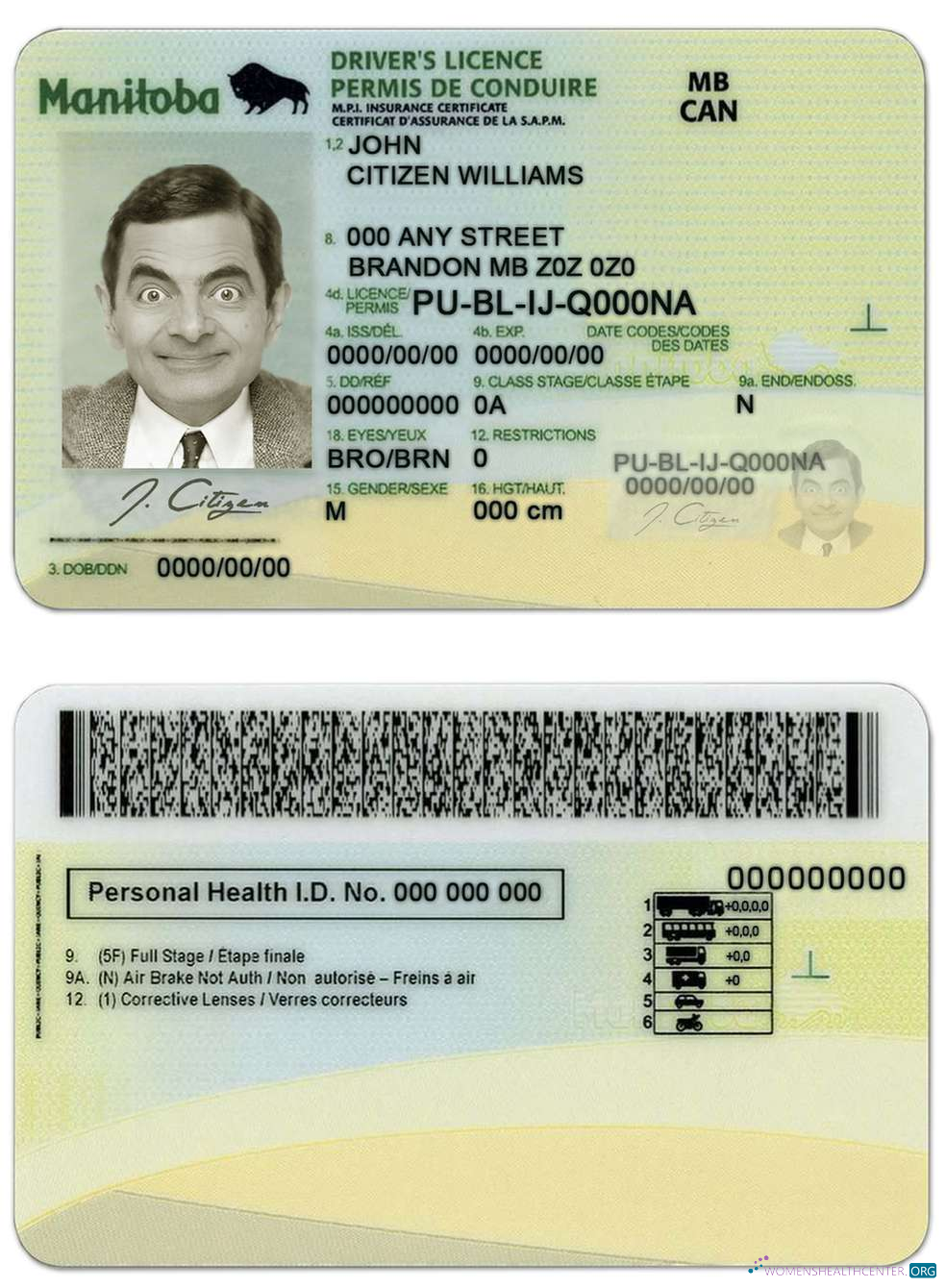 download Canada Manitoba province driving license